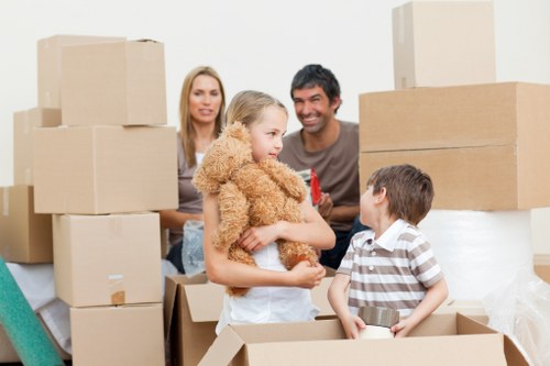 Packing materials and labelled boxes for a flat move in Ickenham